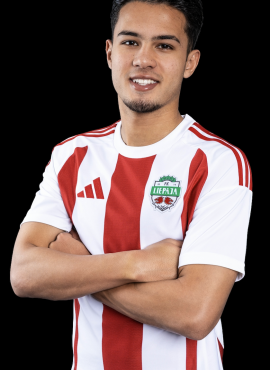 Fellipe Vieira Cardoso